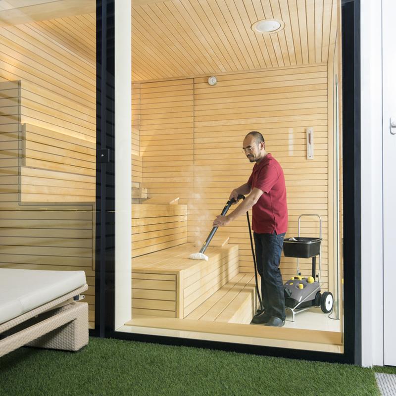 Curatitoare cu abur Karcher