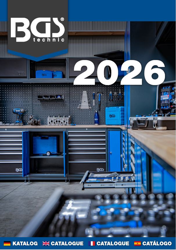 Scule de mana si auto BGS</a>