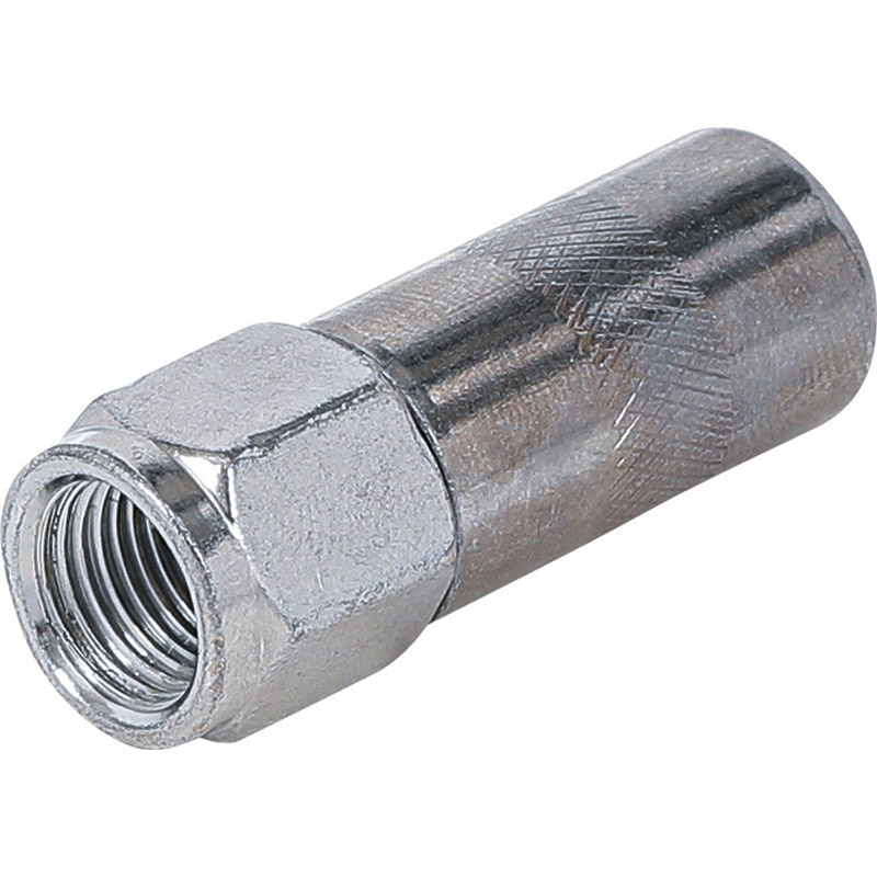 Cap pentru pistoalele de gresat, filet M10, BGS