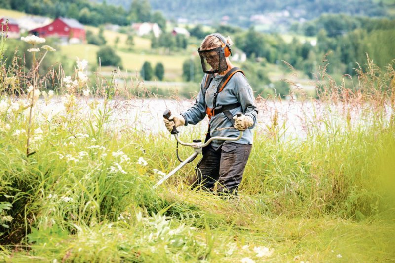 Motocoasa STIHL FS 240