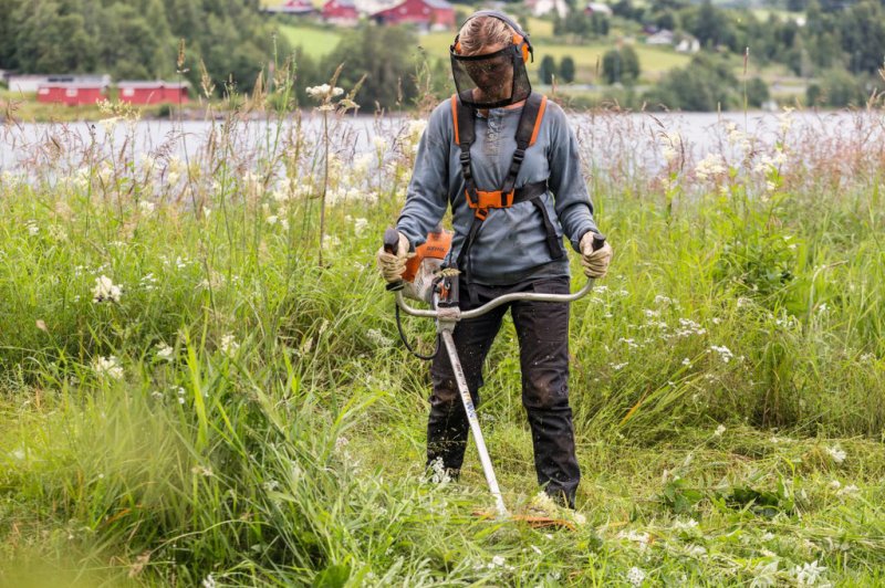 Motocoasa STIHL FS 240