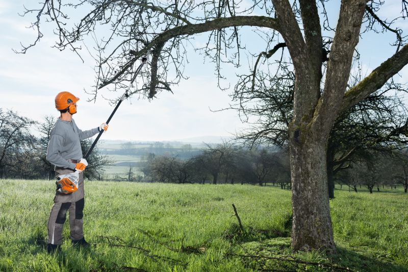 Emondor de inaltime STIHL,  HT 56 C-E