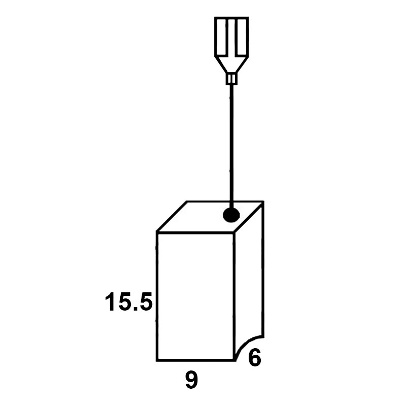 Set perii colectoare pentru AEG