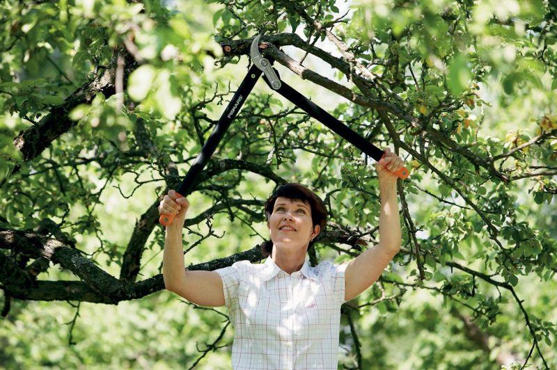 Foarfeca nicovala mare (L) cu mecanism de forta, Fiskars tip PowerGear™ L77, 686mm