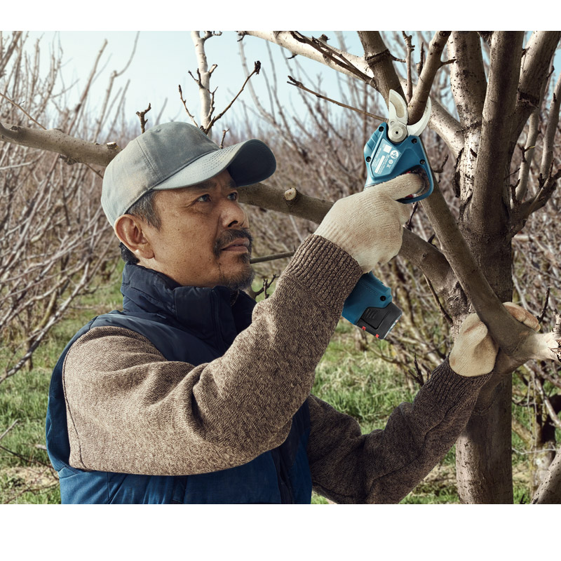 Foarfeca de gradina cu acumulatori, SOLO, Pro Pruner