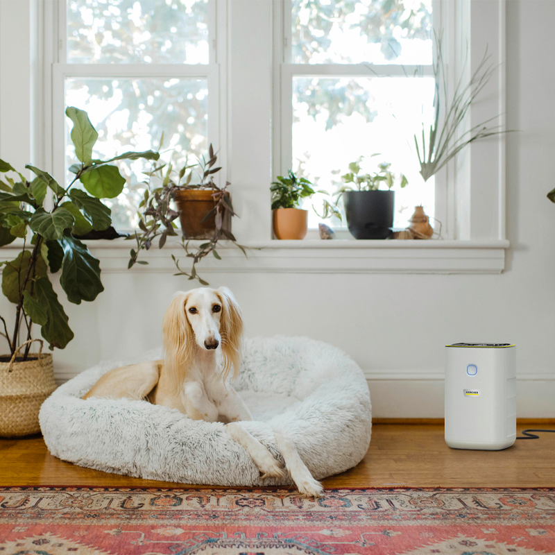 Purificator de aer KARCHER, tip AF20