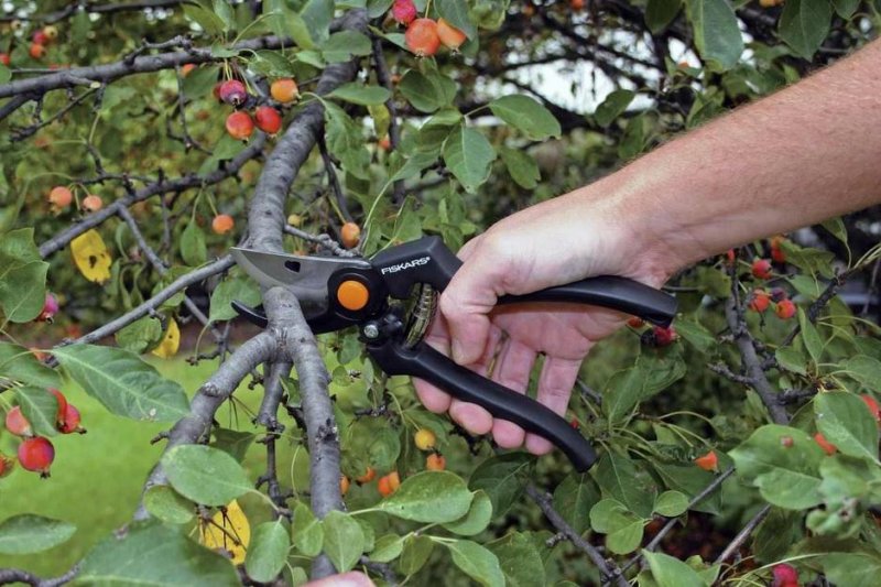 Foarfeca pentru gradina, tip GardenPro™ P90