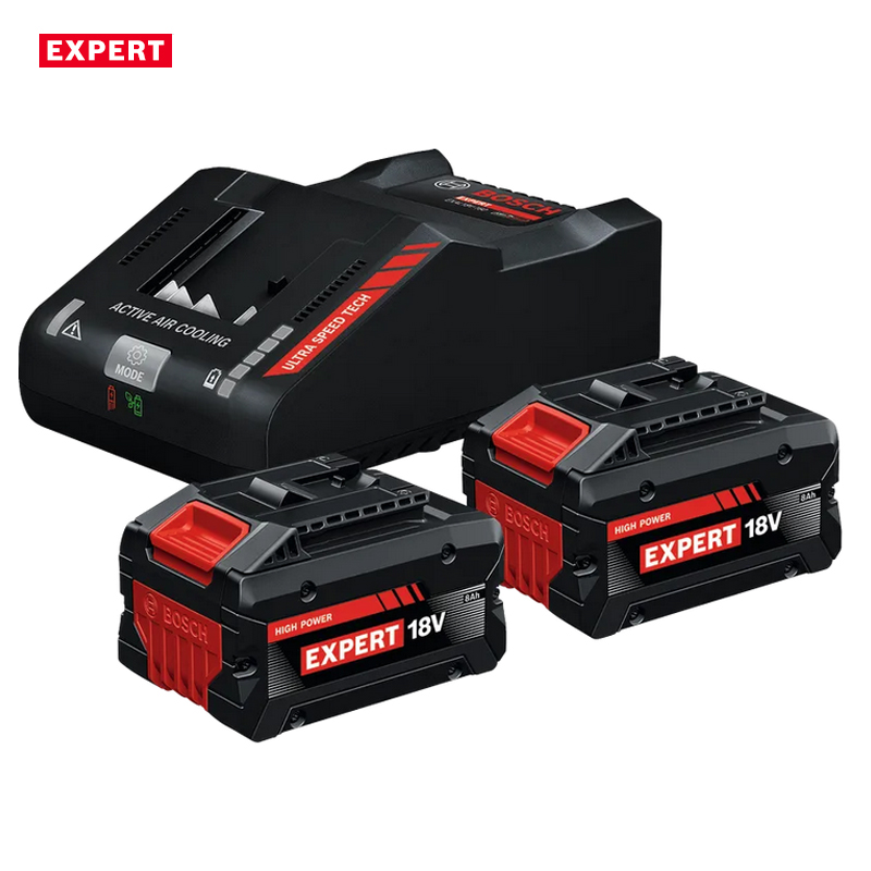 Pachet 2 acumulatori Expert EXBA18V-80, 18V, 8.0Ah + incarcator EXAL18V-160, Bosch
