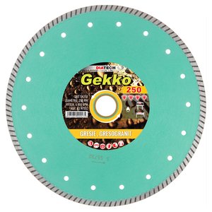 Disc diamantat GEKKO pentru gresie, fainta, granit, 250x25.4 mm