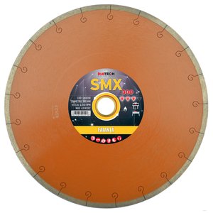 Disc diamantat continuu pentru placi ceramice, 300x25.4/30 mm